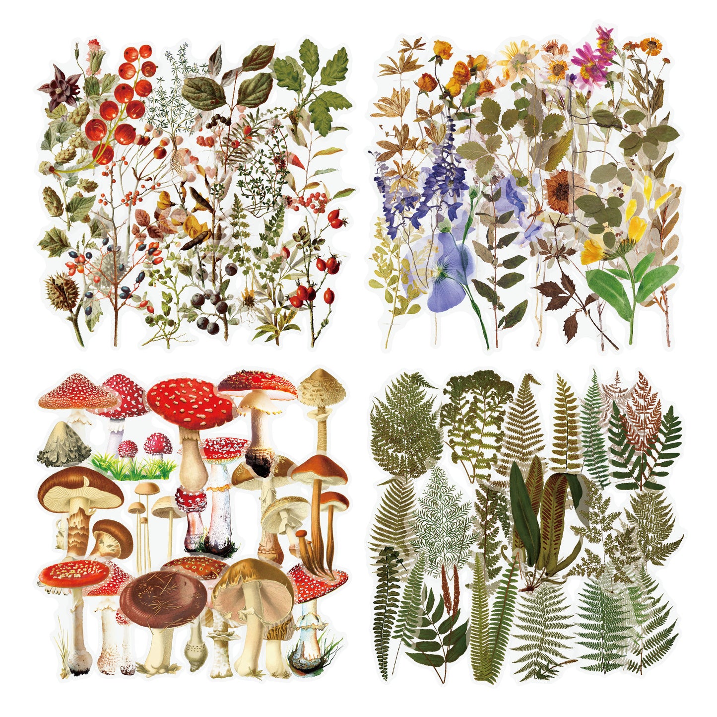 US Local Retro Flower Nature Book DIY Hand Account Material Mushroom Sticker