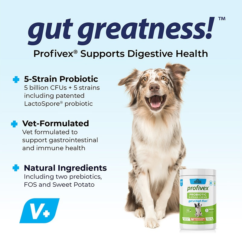 US Local Probiotics Chews For Pets Customized Shape For Digestive Health Pets Supplement Healthy Gut For Dogs