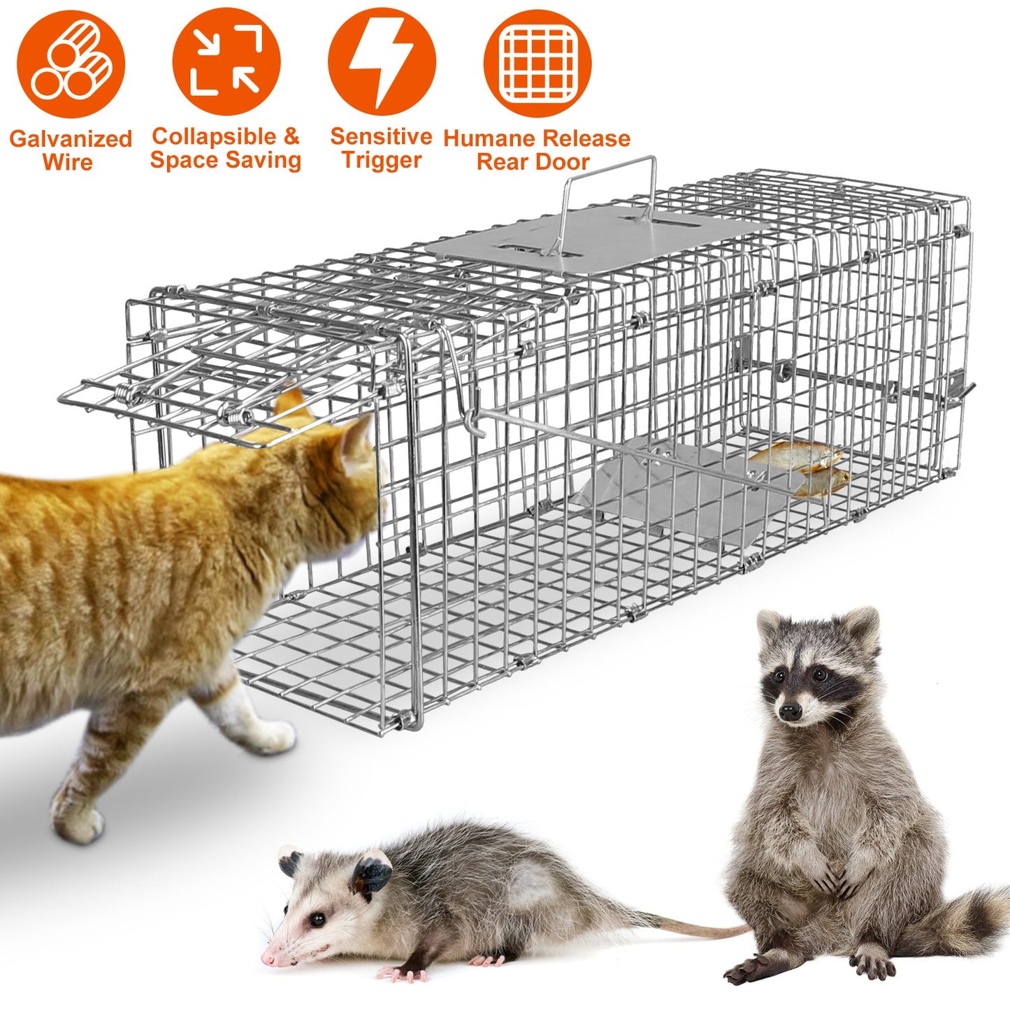 US Local Cat Trap Cage Catch Release Live Animal Rodent Cage Foldable Galvanized Wire