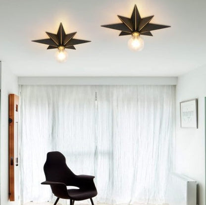 US Local Flush-mounted Luminaires