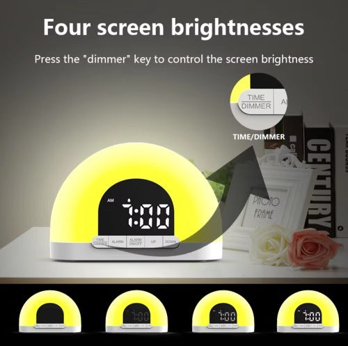 US Local Fashion Design Color Night Light Sunrise Alarm Clock Wake Up Light With Touch Control Half Circle Double Clock Europe White