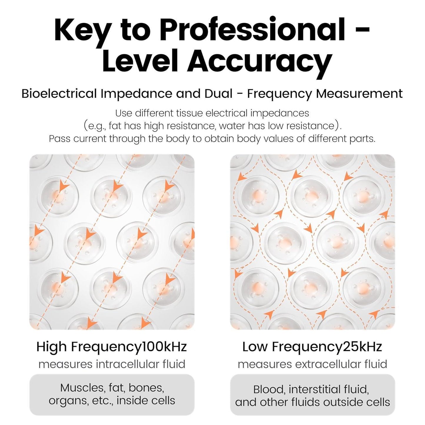 US Local Smart Body Fat Scale Digital Bluetooth Bathroom Scale Accurately Measures Body Fat And 55 Body Composition Indicators