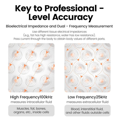 US Local Smart Body Fat Scale Digital Bluetooth Bathroom Scale Accurately Measures Body Fat And 55 Body Composition Indicators