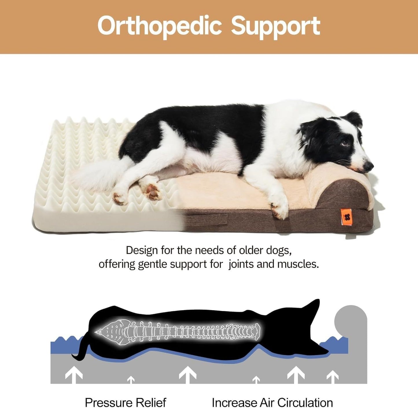 MEWOOFUN Orthopedic Dog Bed For Medium Dogs - Egg Crate Foam Sofa With Waterproof Lining & Anti-Slip Bottom, Washable Removable Cover Brown, Large