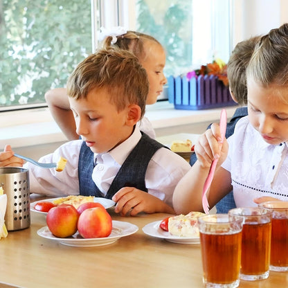 US Local Sustainable Diet 4-Piece Eco-Friendly Cutlery Set Biodegradable Reusable