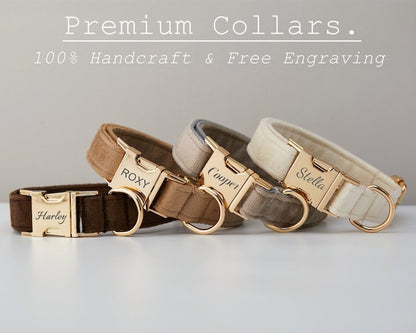 US Local Multiple Colour Velvet Personalise Dog Collar Leash Set With Bow