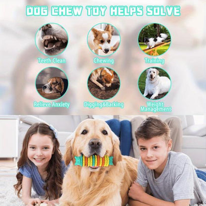 US Local Dog Chewing Toys For Aggressive Chewers, Amazon Logistics