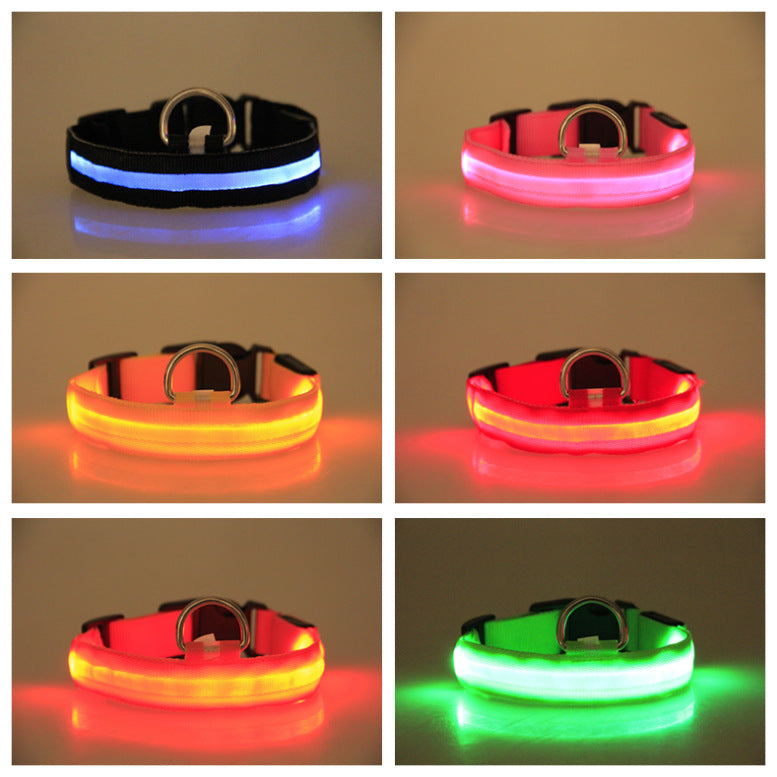 US Local LED Luminous Pet Dog Collar Night
