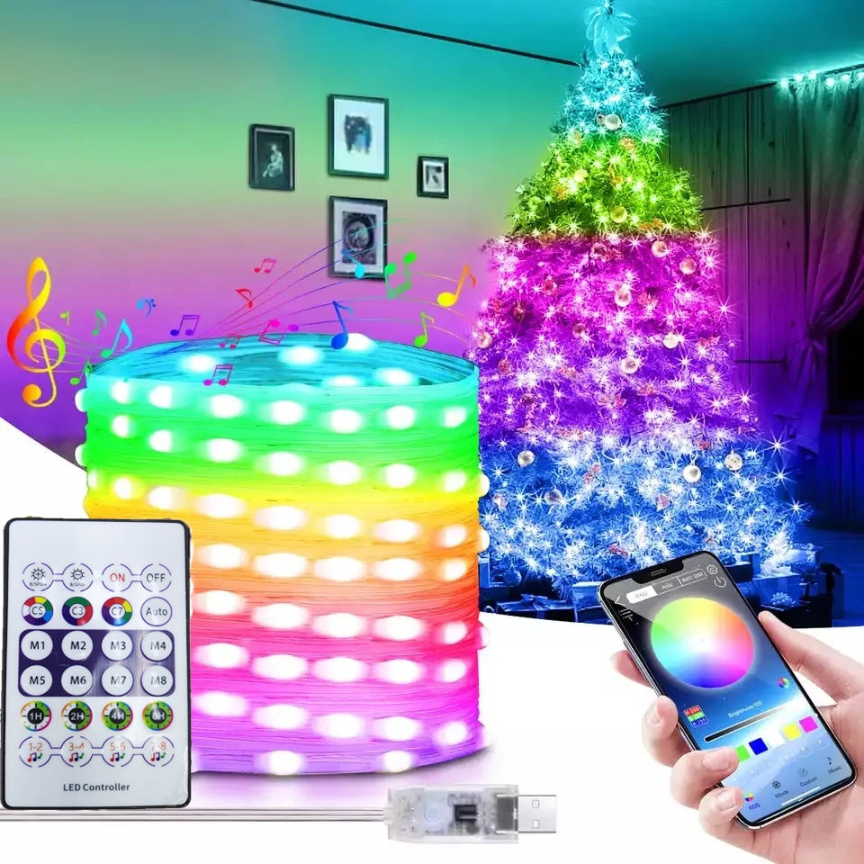 US Local LED Rope Lights Outdoor, RGB Remote Control Fairy String Lights Plug In With 200 LEDs, Super Durabl