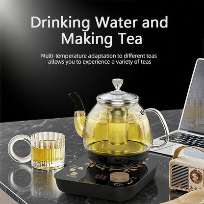 US Local Professional Multi-functional Glass Teapot  800ml Fast Heating Cooking And Brewing Integrated Electric Kettle With Stainless Steel Filter