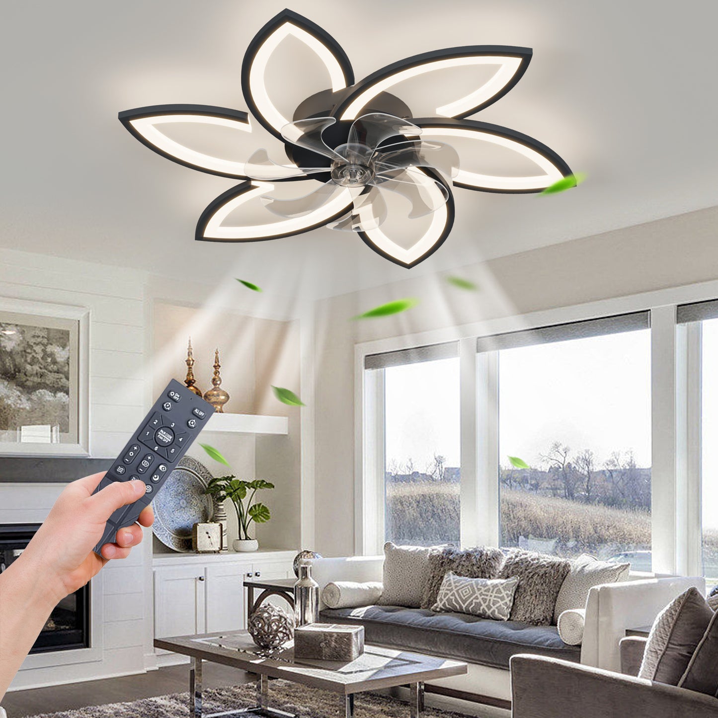 US Local Acrylic Ceiling Fan