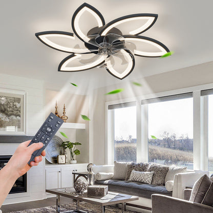 US Local Acrylic Ceiling Fan