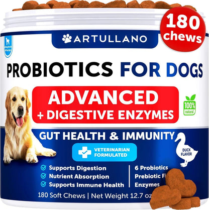 US Local Probiotics For Dogs Support Gut Health Itchy Skin Allergies Immunity Yeast Balance Dog Probiotics And Digestive Enzymes With Prebiotics Reduce Diarrhea Gas 180 Probiotic Chews For Dogs