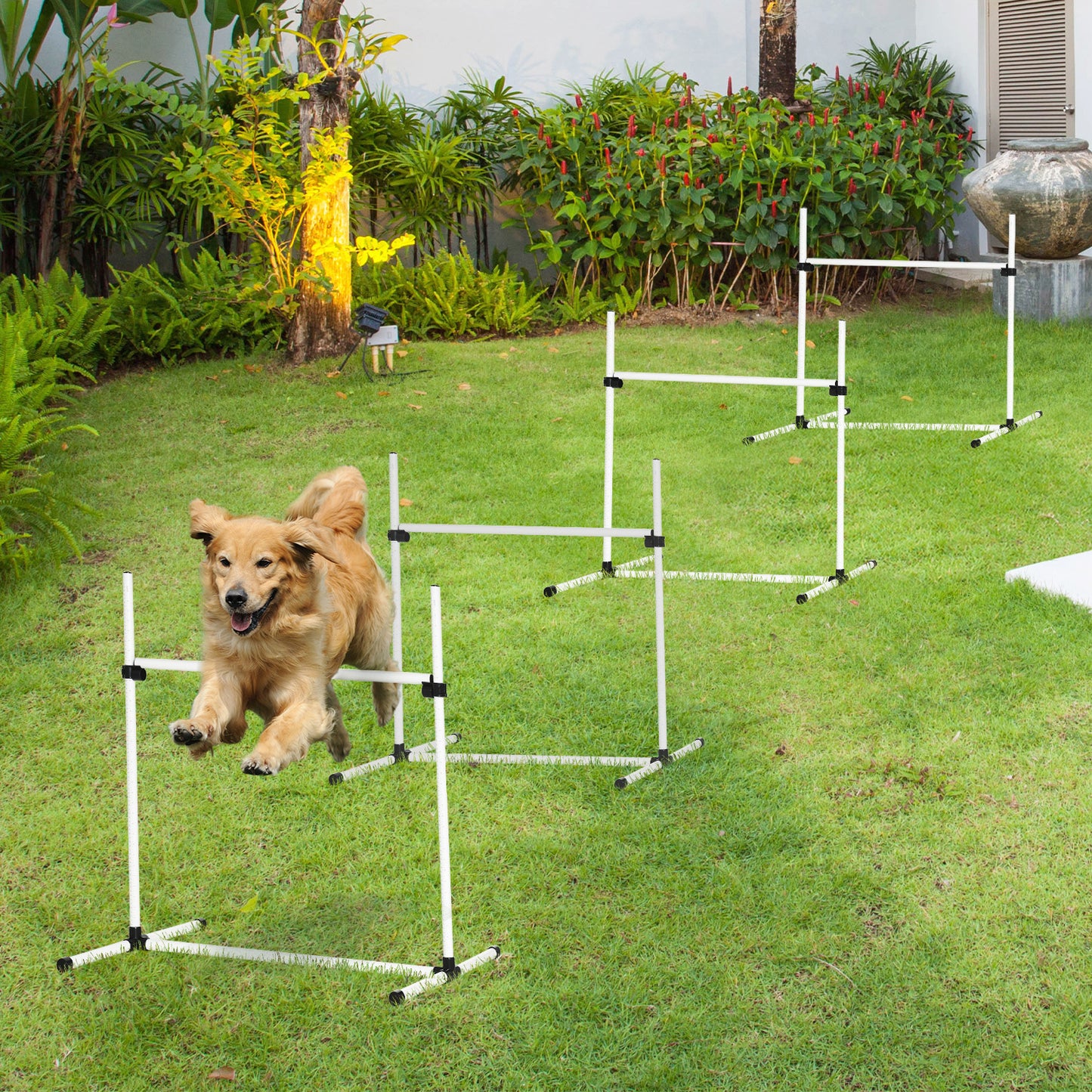 US Local 4-piece Dog Agility Training Equipment With Height-adjustable Jumping Poles