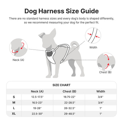 US Local PETMARVEL Adjustable Embroidered Stylish Dog Harness