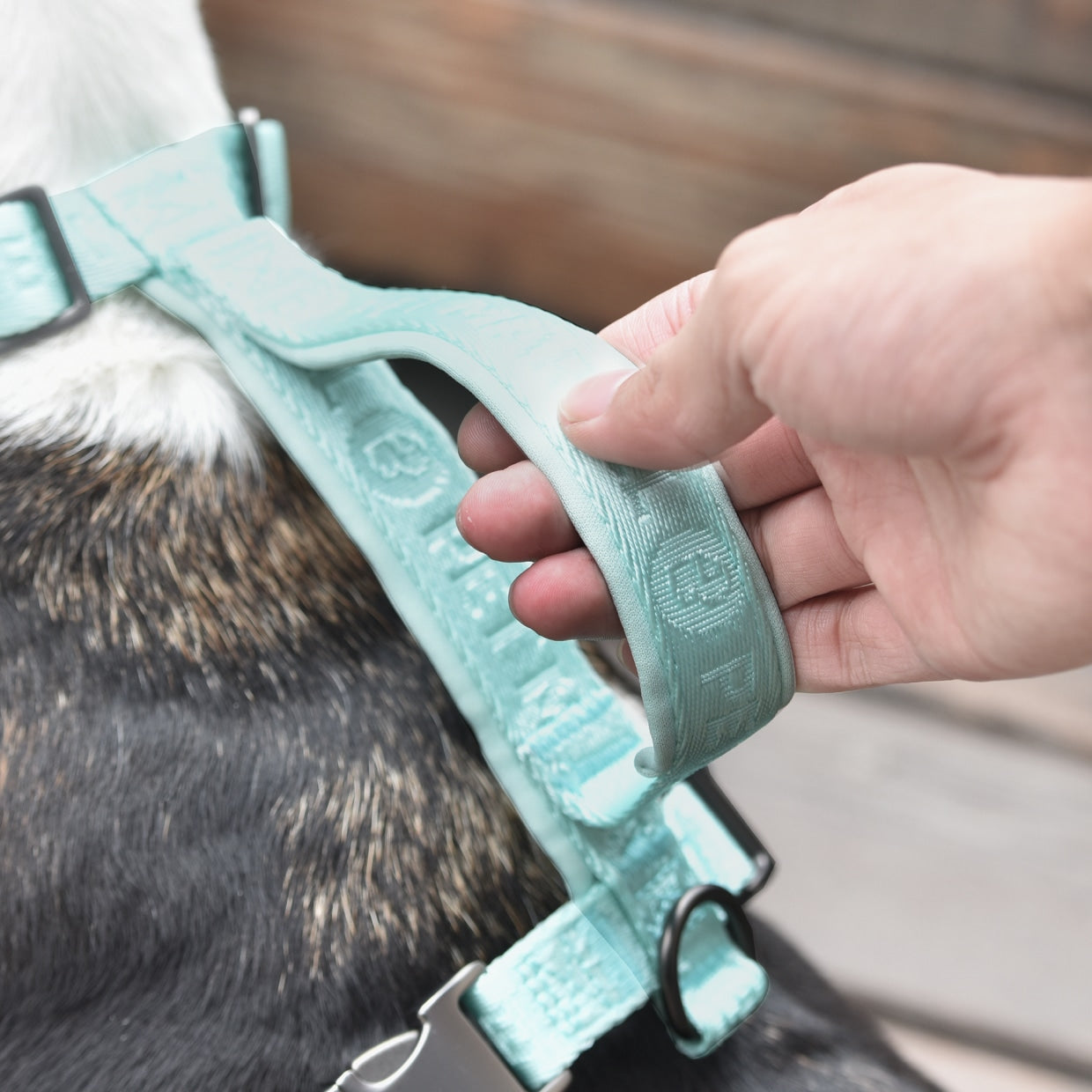 US Local PETMARVEL Adjustable Embroidered Stylish Dog Harness