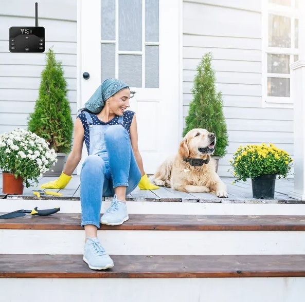 US Local Wireless Electric Dog Fence Waterproof Pet Shock Boundary Containment System Electric Training Collar For Small Medium Large Dogs