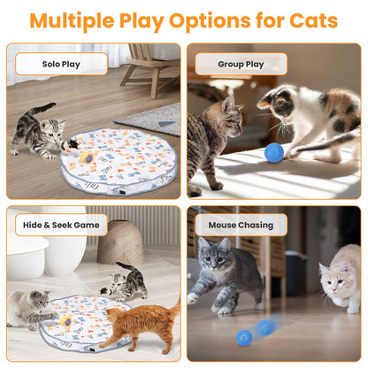 US Local 1Pc Cat Toys Ball Fast Rolling In Pouch Rechargeable Motion Activated Interactive Cat Toys For Indoor Cats Hide And Seek Mouse Catching Game