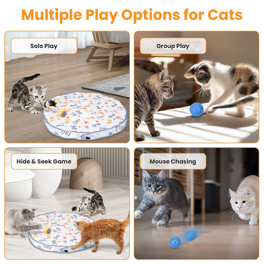 US Local 1Pc Cat Toys Ball Fast Rolling In Pouch Rechargeable Motion Activated Interactive Cat Toys For Indoor Cats Hide And Seek Mouse Catching Game