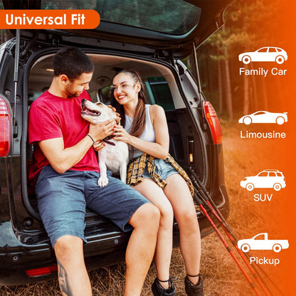 US Local 1Pc Dog Car Seat Cover Waterproof Scratchproof Pet Car Rear Protector Mat Pet Back Seat Cover With Dog Seat Belt For Car Truck SUV