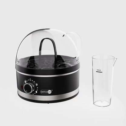 US Local Mini Multifunctional Household Plug-in Steam Boiler