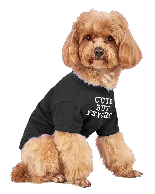 US Local Pet Clothes Round Neck T-shirt