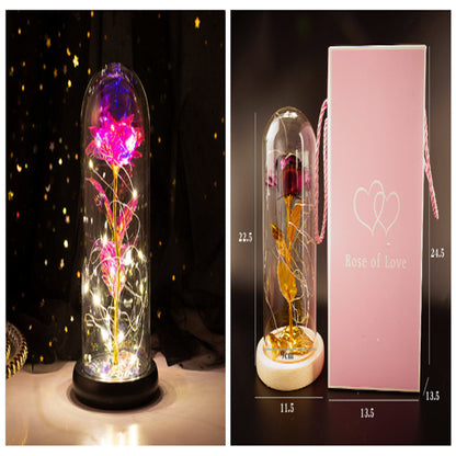 Little Prince Rose Glass Cover