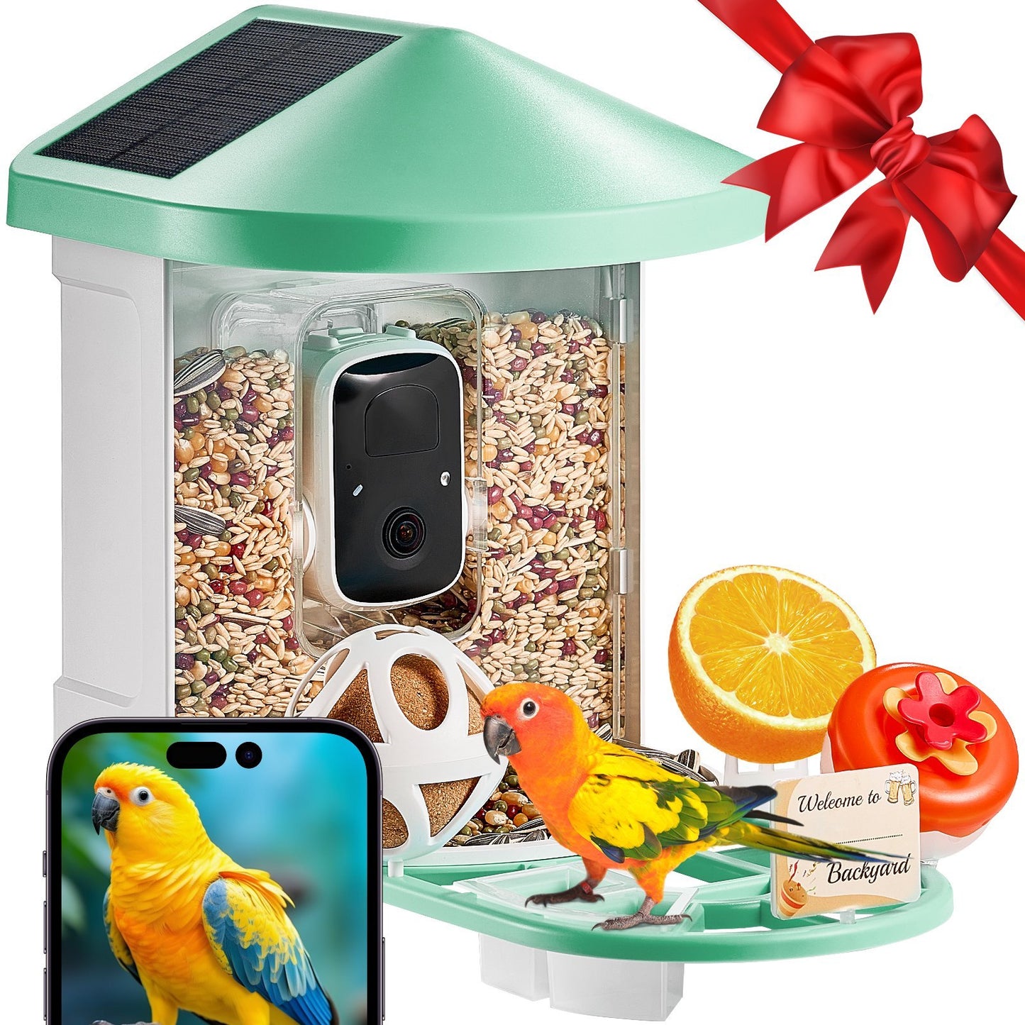 US Local Smart Bird Feeder With Camera 2K HD AI Identify Bird Species Solar-Powered