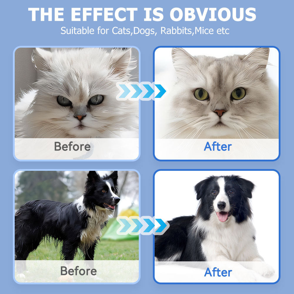 US Local Cleaning Wipes Gloves For Dog And Cat,Pet Bathing Wipes Cleaning & Deodorizing,Dog Wipes For Body Paws Butt Daily Care,Cat Grooming Wipes Cleaning Fur Traveling Rinse Free,6PCS-1PACK