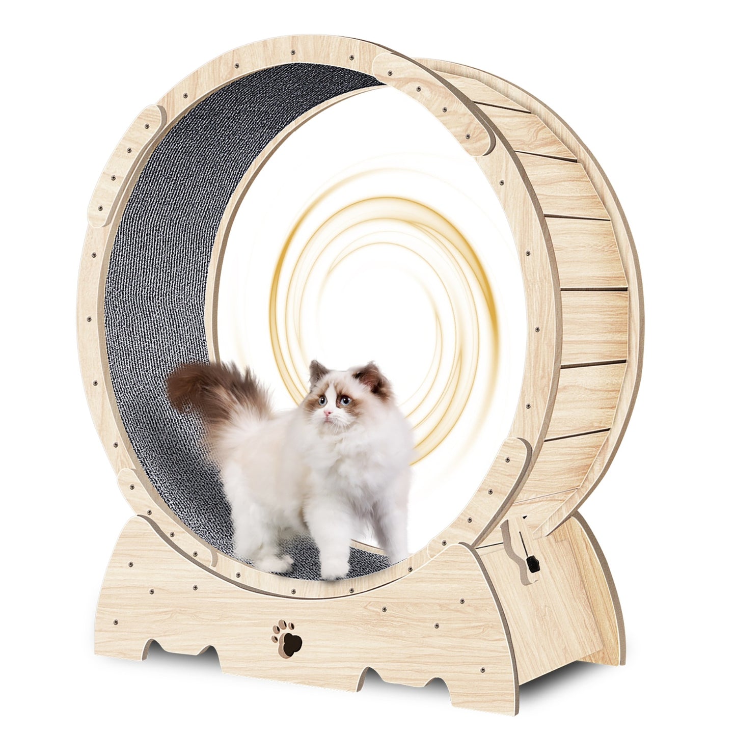 US Local Cat Exercise Wheel For Indoor Cats, Running Wheel With Carpeted Runway