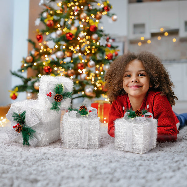 US Local White Christmas Lighting Gift Box