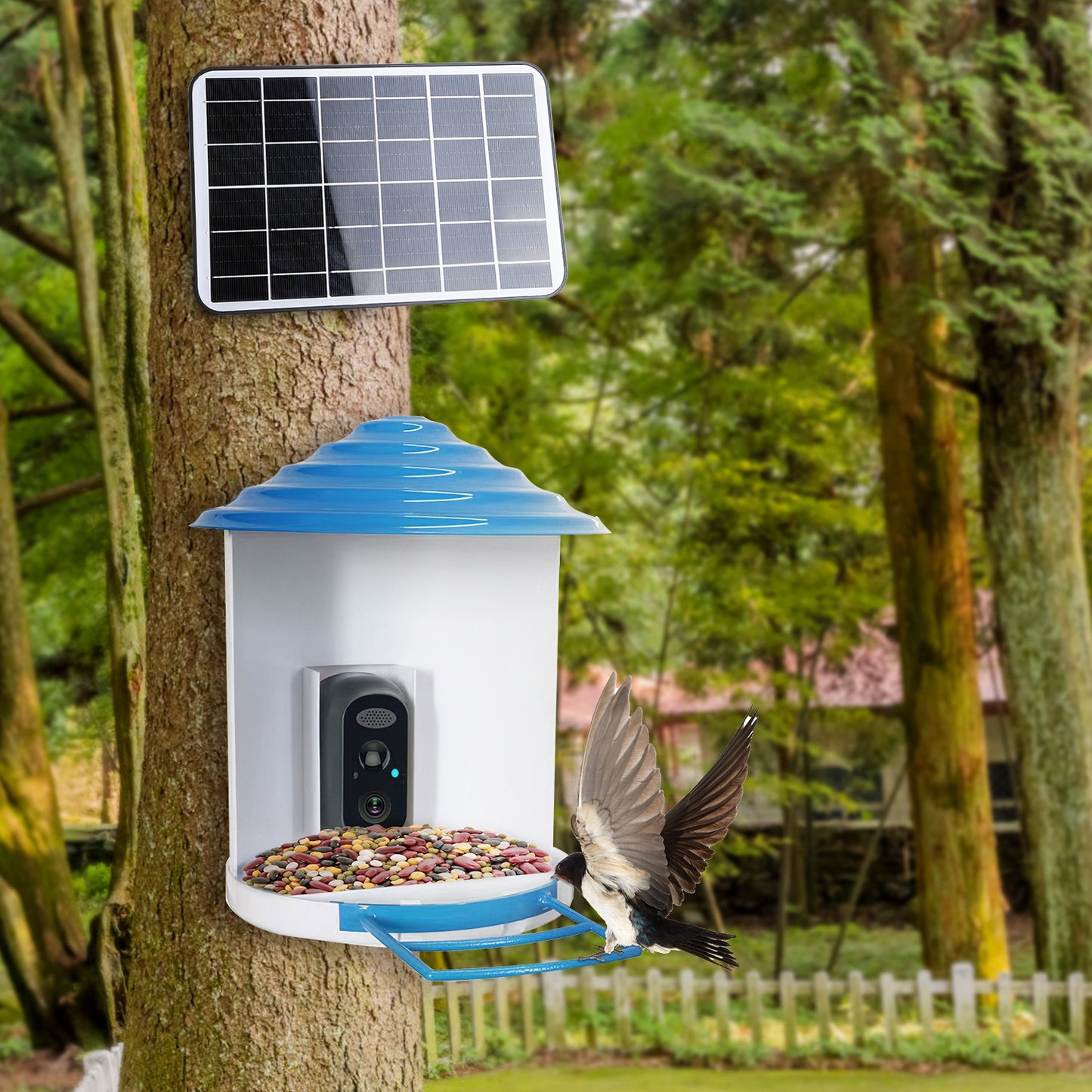 US Local Smart Bird Feeder With Solar Powered Camera 1080P HD AI Identify PIR Motion Auto Capture Video Cloud Card Storage WiFi Connection App Control IP65 Waterproof