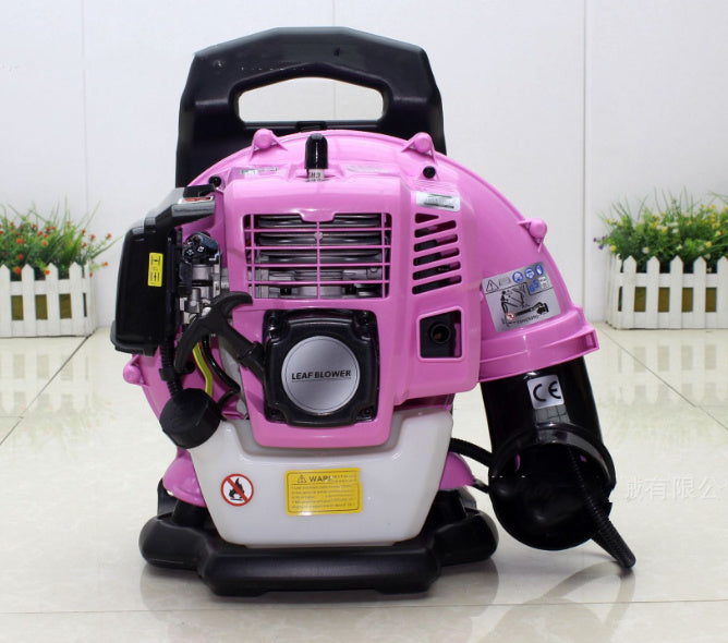 US Local Gasoline Air Blower Back Portable Greenhouse Snow Blower Road Sweeper