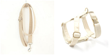 US Local Dog collar traction rope