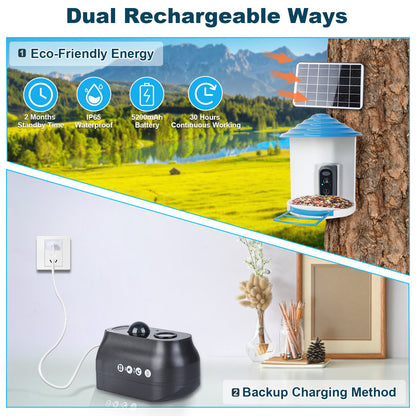 US Local Smart Bird Feeder With Solar Powered Camera 1080P HD AI Identify PIR Motion Auto Capture Video Cloud Card Storage WiFi Connection App Control IP65 Waterproof
