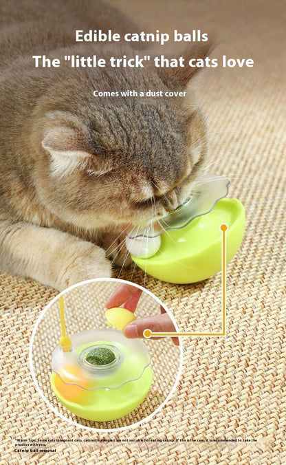 US Local Cat Tumbler Toy Ball