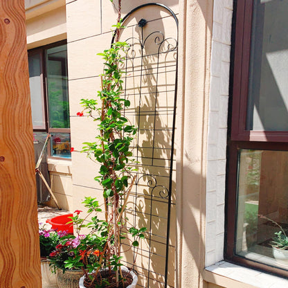 US Local Metal Garden Trellis For Outdoor Climbing Plants