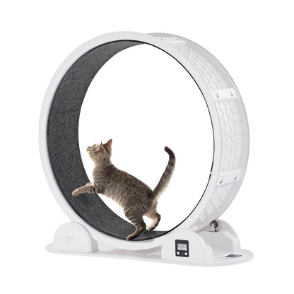 Cat Exercise Wheel With Pedometer 40.8 Cat Treadmill For Pet Health White