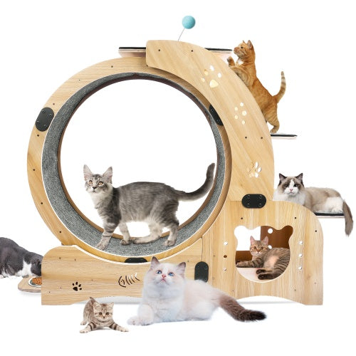 US Local Cat Wheel 6-in-1 Cat Fitness Wheel