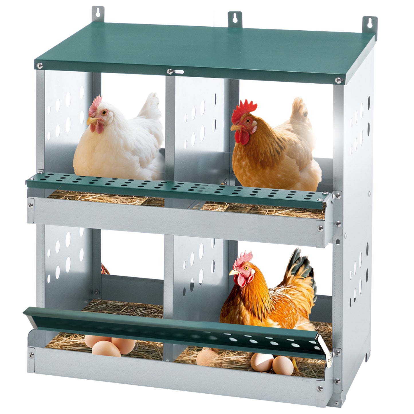 US Local 4 Compartment Chicken Nesting Boxes, Metal Nesting Boxes Wall Mount Chicken Egg Laying Box For Different Chicken Breeds