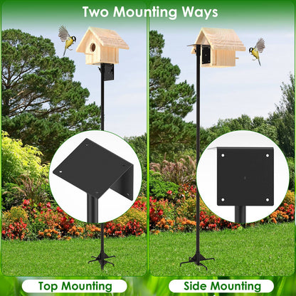 US Local 1 Set  79.92in Bird House Pole Kit Height Adjustable Bird Feeder Pole Mount Kit Heavy Duty Bird House Pole Set With 5 Prongs Base For Bird House Bird Feeder House Not Included