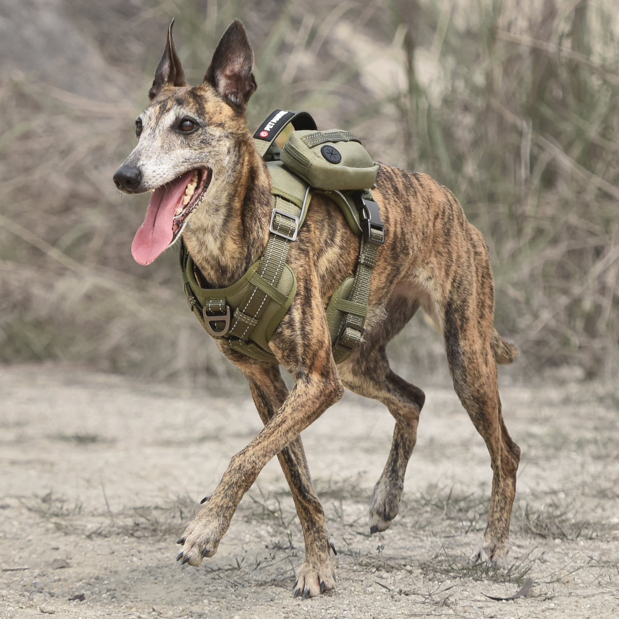 US Local PETMARVEL High-Perfomance Tactical Dog Harness With Backpack, No Pull Front Clip & Metal Buckles