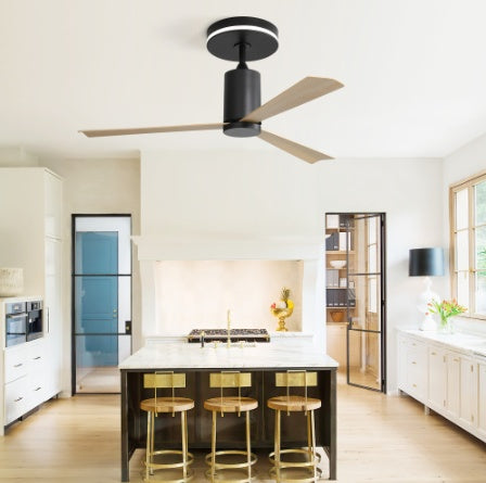 US Local Plastic Ceiling Fans