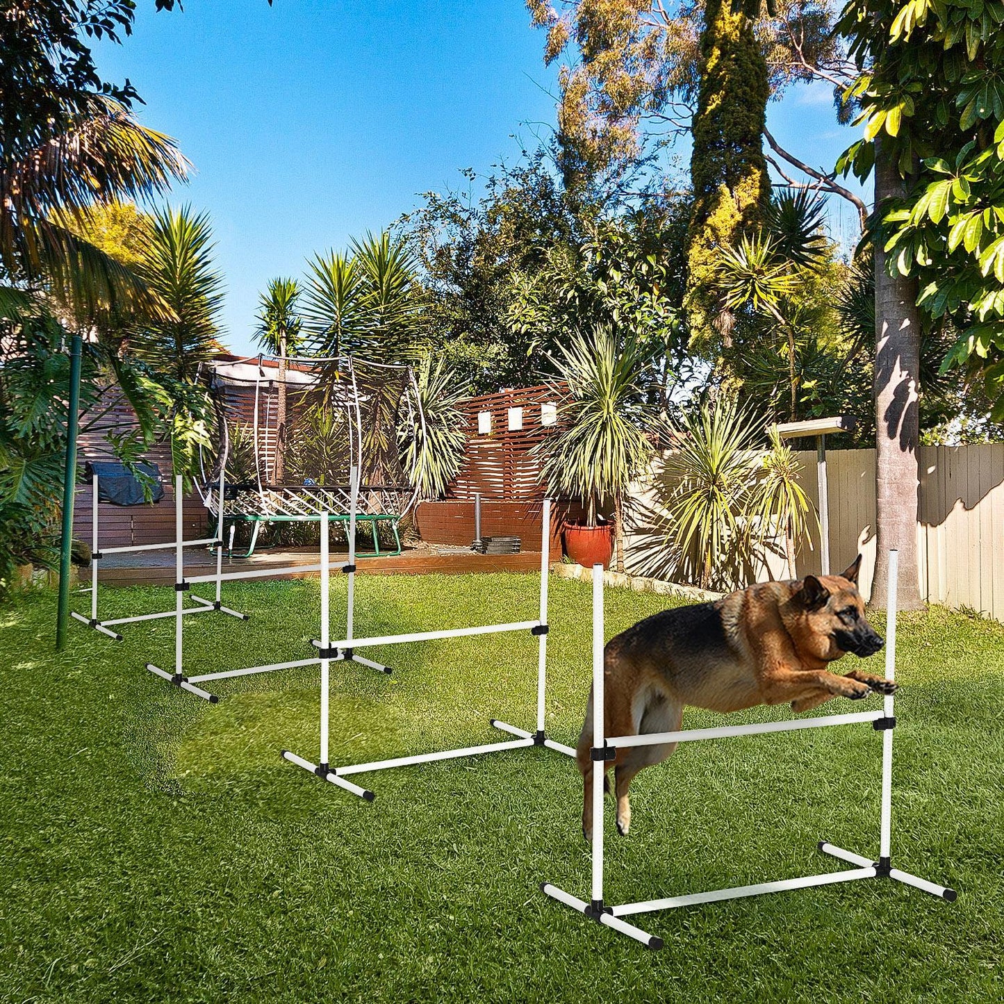 US Local 4-piece Dog Agility Training Equipment With Height-adjustable Jumping Poles