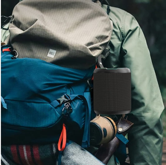 US Local Wireless Outdoor Speaker