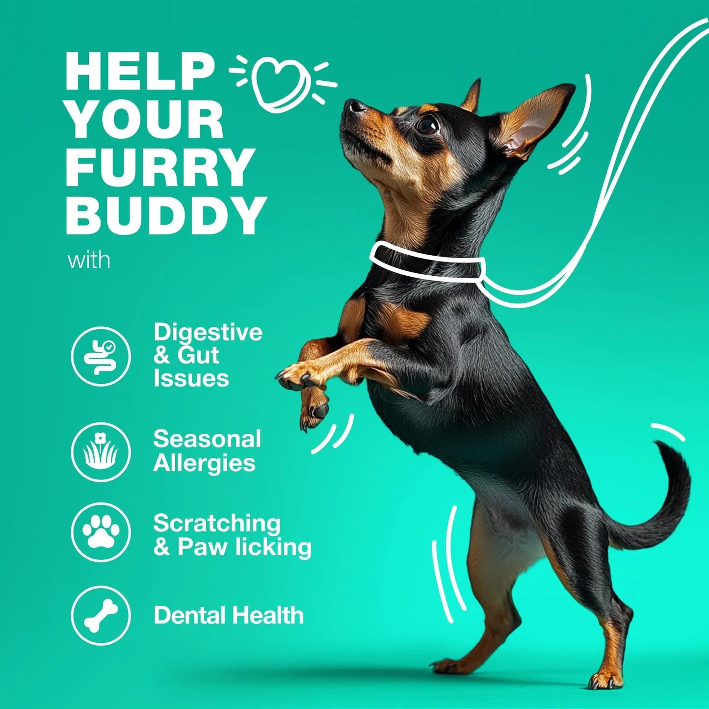 US Local Probiotics For Dogs Support Gut Health Immunity Yeast Balance Itchy Skin Allergies Probiotics And Digestive Enzymes Coprophagia Deterrent For Dogs 180 Probiotic Chews For Dogs