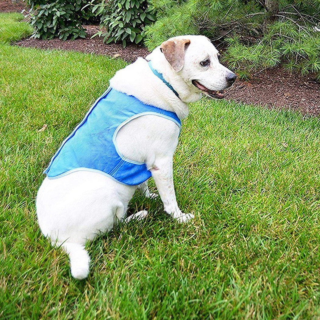 US Local Dog Summer Cooling Vest, Pet Cooling Clothes Dog Cat Cooling Vest, Summer Heat Relief Vest Pet Dog Clothes Summer Clothes For Dogs Dog Cooling Vest