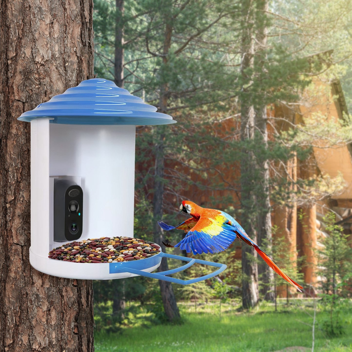 US Local Smart Bird Feeder With Solar Powered Camera 1080P HD AI Identify PIR Motion Auto Capture Video Cloud Card Storage WiFi Connection App Control IP65 Waterproof