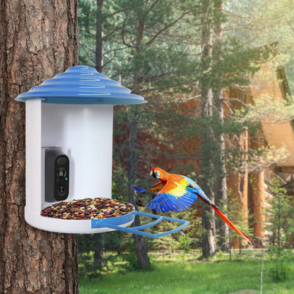 US Local Smart Bird Feeder With Solar Powered Camera 1080P HD AI Identify PIR Motion Auto Capture Video Cloud Card Storage WiFi Connection App Control IP65 Waterproof