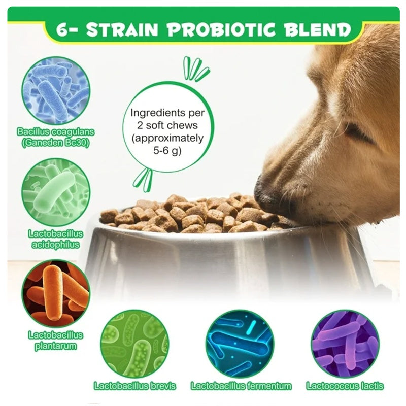 US Local Probiotics Chews For Pets Customized Shape For Digestive Health Pets Supplement Healthy Gut For Dogs